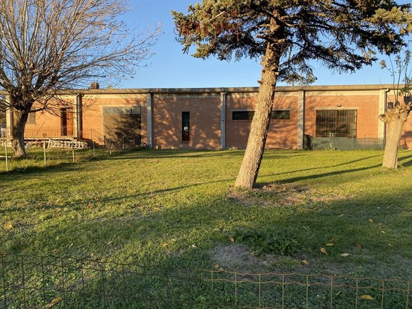 fotografie - capannone Borgo Rivola (RA)  