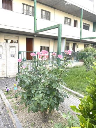 fotografie - appartamento Faenza (RA) Periferia Monte 