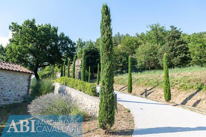 fotografie - Rustico / Casale Marradi (FI)
