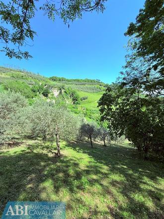 fotografie - Rustico / Casale Brisighella (RA)  