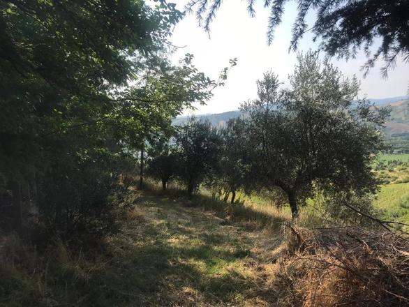 fotografie - Casa Indipendente Brisighella (RA)  