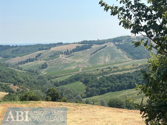 fotografie - terreno agricolo Brisighella (RA)