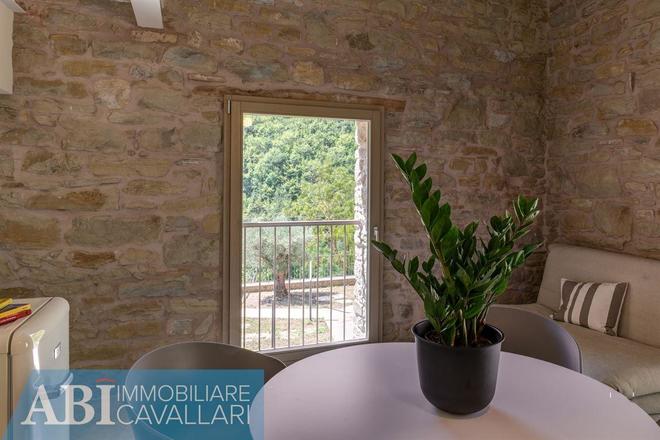 fotografie - Rustico / Casale Marradi (FI)