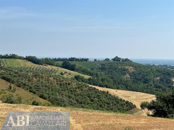 fotografie - terreno agricolo Brisighella (RA)