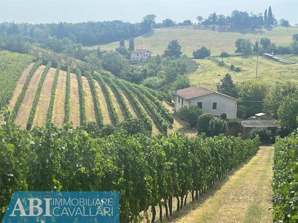 fotografie - terreno agricolo Imola (BO)  