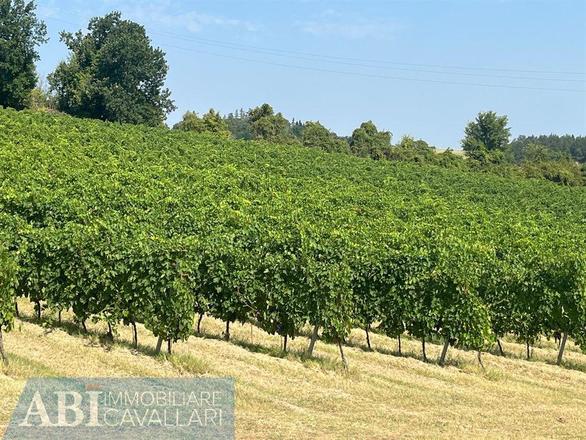 fotografie - terreno agricolo Imola (BO)  