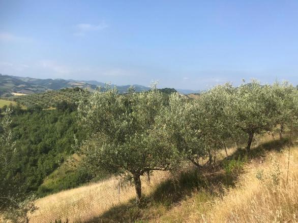 fotografie - Casa Indipendente Brisighella (RA)  