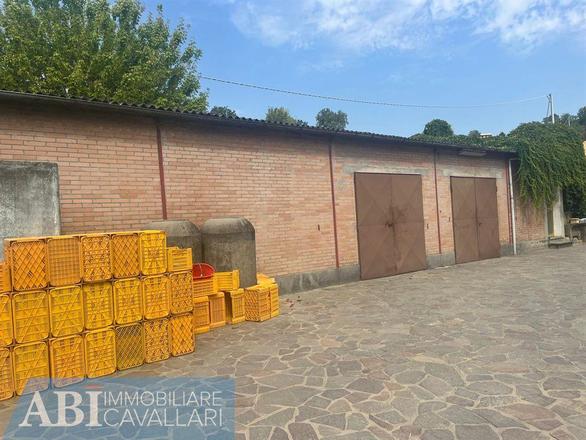 fotografie - terreno agricolo Imola (BO)  