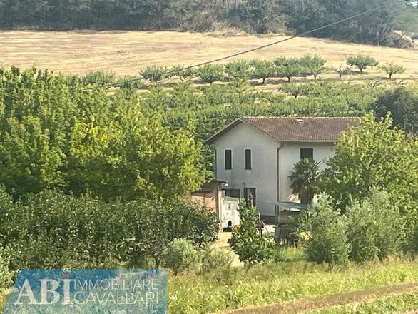 fotografie - terreno agricolo Imola (BO)  