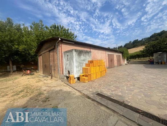 fotografie - terreno agricolo Imola (BO)  