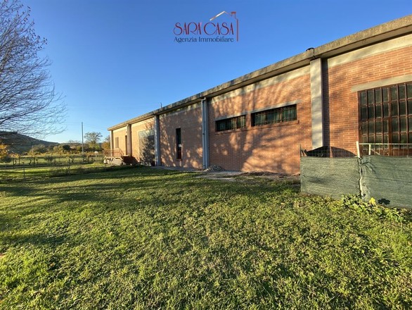 fotografie - capannone Borgo Rivola (RA)  