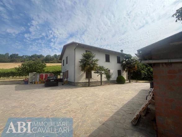 fotografie - terreno agricolo Imola (BO)  