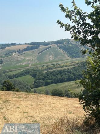fotografie - terreno agricolo Brisighella (RA)