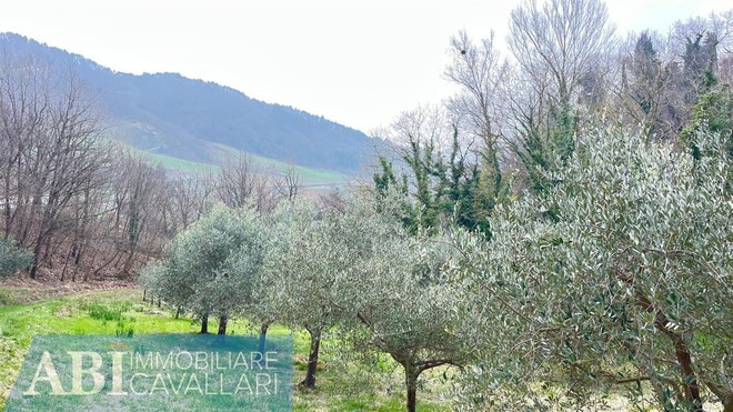 fotografie - Rustico / Casale Casola Valsenio (RA)