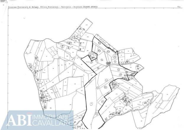fotografie - terreno agricolo Imola (BO)  