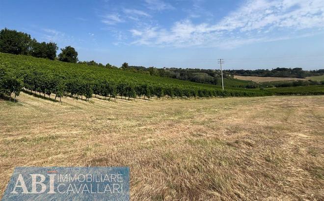 fotografie - terreno agricolo Imola (BO)  