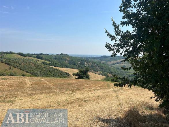 fotografie - terreno agricolo Brisighella (RA)