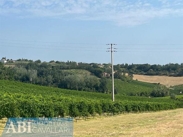 fotografie - terreno agricolo Imola (BO)  