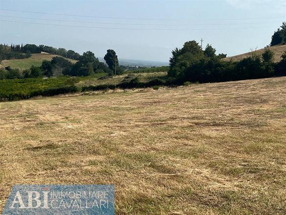 fotografie - terreno agricolo Imola (BO)  