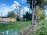 Villa Riolo Terme (RA) 