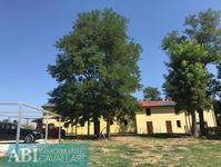 Villa a schiera Faenza (RA) Campagna Monte