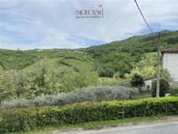 Palazzo Borgo Rivola (RA) 