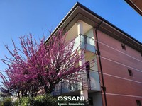 appartamento Faenza (RA) Borgo