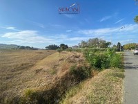 terreno edificabile Brisighella (RA) Villa Vezzano