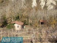 terreno agricolo Brisighella (RA) 