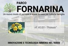 appartamento Faenza (RA) Borgo