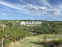 terreno agricolo Brisighella (RA) 