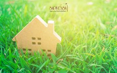 terreno edificabile Massa Lombarda (RA) 