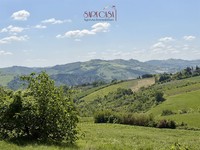 Rustico / Casale Castrocaro Terme e Terra del Sole (FC) Castrocaro Terme