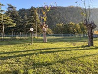 capannone Borgo Rivola (RA) 