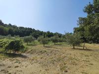 terreno agricolo Faenza (RA) Santa Lucia Delle Spianate
