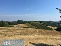 terreno agricolo Brisighella (RA) 