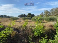 terreno edificabile Brisighella (RA) Villa Vezzano