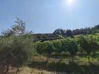 terreno agricolo Faenza (RA) Campagna Monte