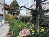 Casa Indipendente Sant'Agata sul Santerno (RA) 