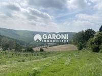 terreno agricolo Faenza (RA) Campagna Monte