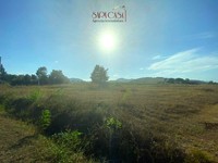 terreno edificabile Brisighella (RA) Villa Vezzano